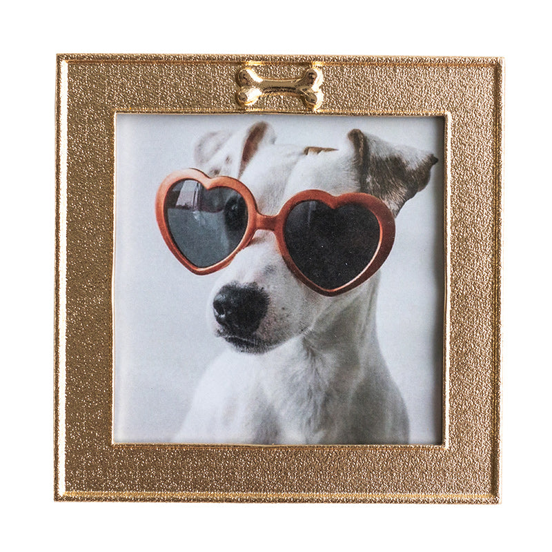 Our Furry Friend's Memory Frame